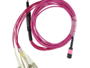 Imdanen ameqran n tfiber n OM4